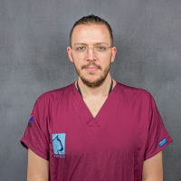 Ludovic - Auxiliaire Spécialisée Vétérinaire